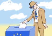 Le elezioni europee / Fabio Sironi in esclusiva per NOI zona 2