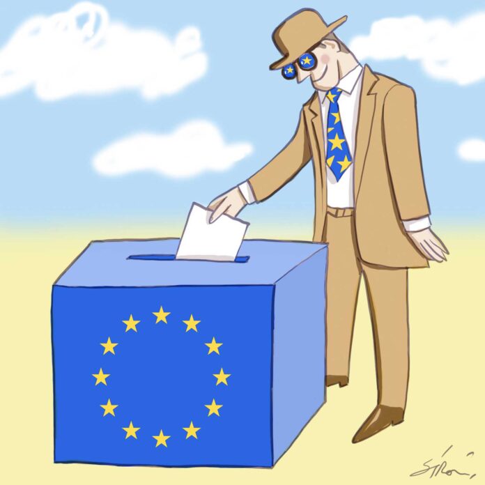 Le elezioni europee / Fabio Sironi in esclusiva per NOI zona 2